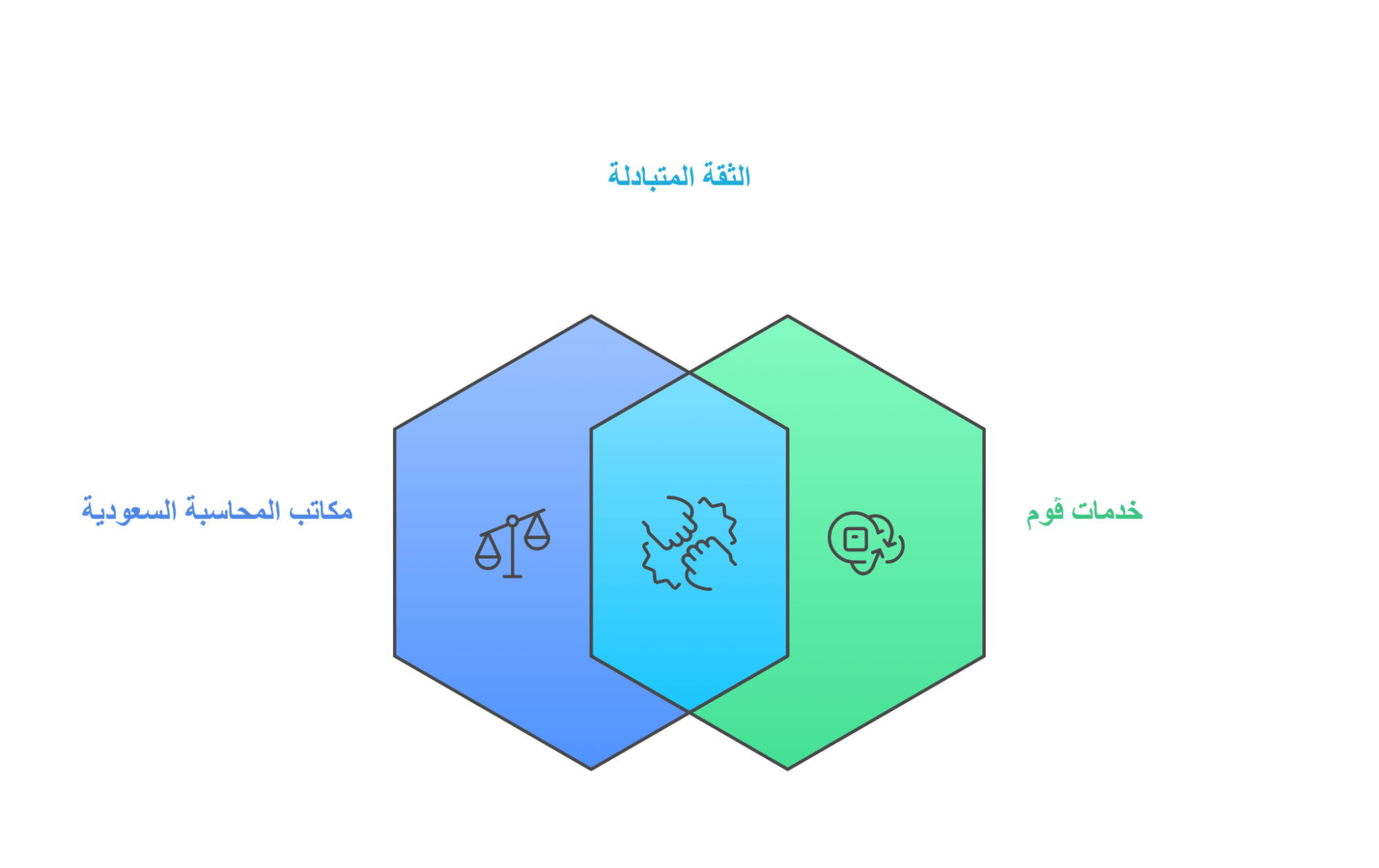 محاسبون ومراجعون قانونيون: مكاتب محاسبة سعودية تثق بڤوم
